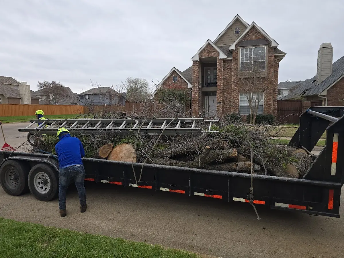 Expert Tree Removal with proper safety equipment in New Gretna